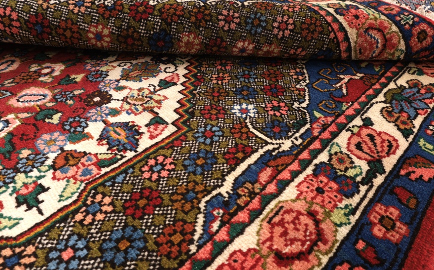 BAKHTIAR Carpet  163x101
