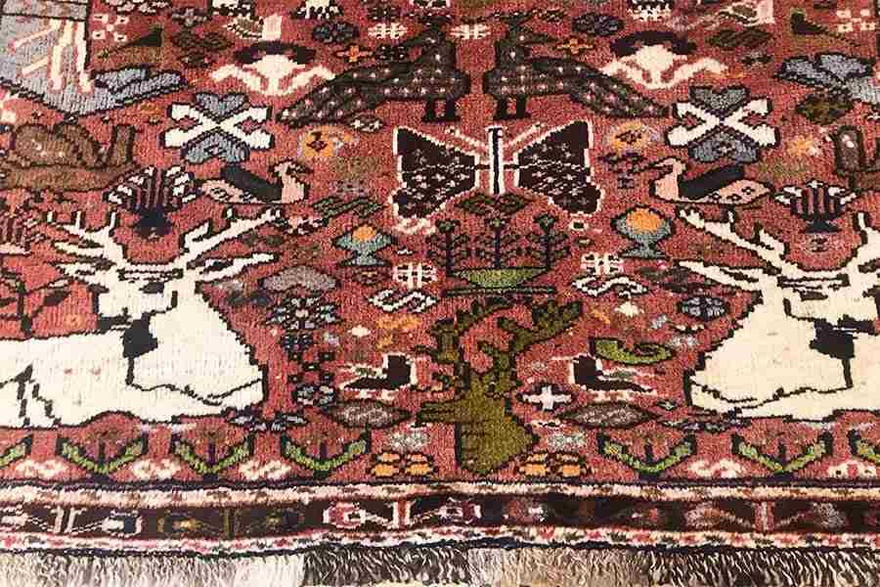 Ghashghai Carpet 160x105