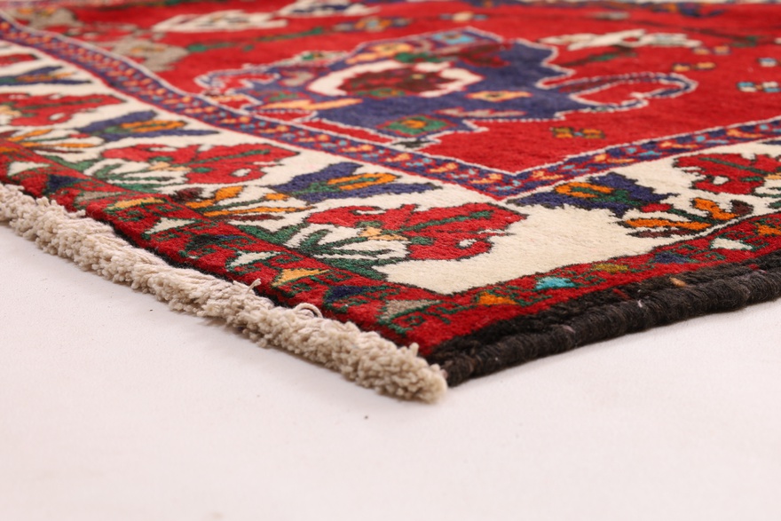 BAKHTIAR Carpet 286x158