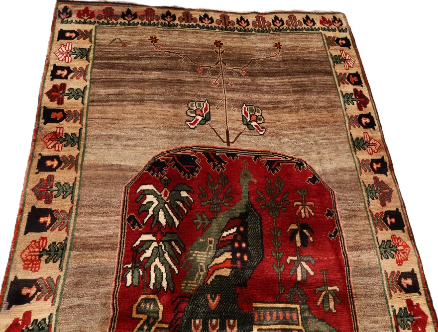 Loribaft Carpet 252x135