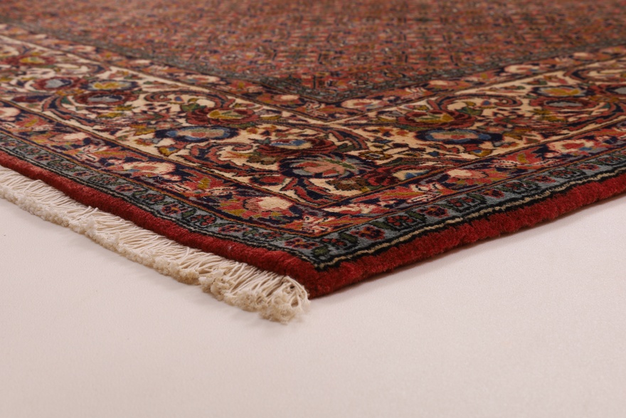 BIDJAR Carpet 343x257
