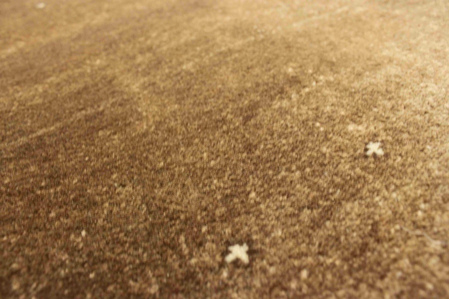 Loribaft Carpet 267x185