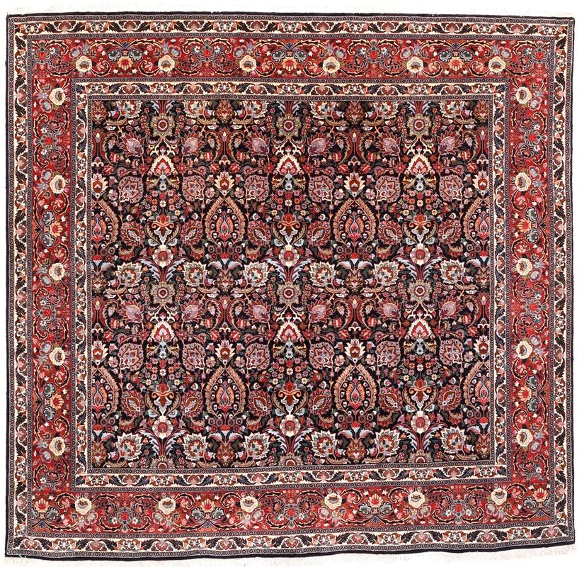 Bidjar Carpet 243x252