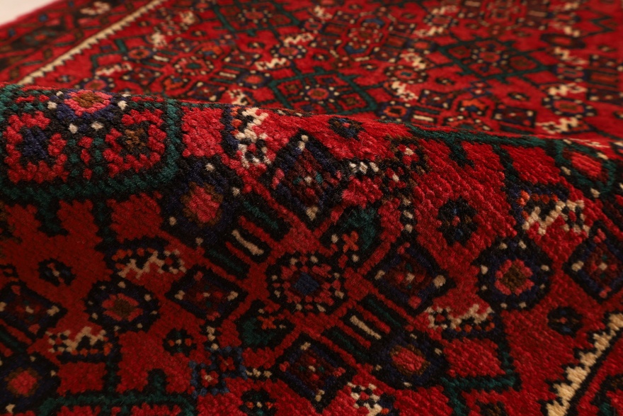 Hamadan Carpet  287x87