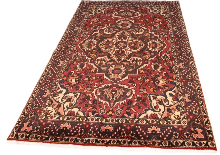 BAKHTIAR Carpet 227x144
