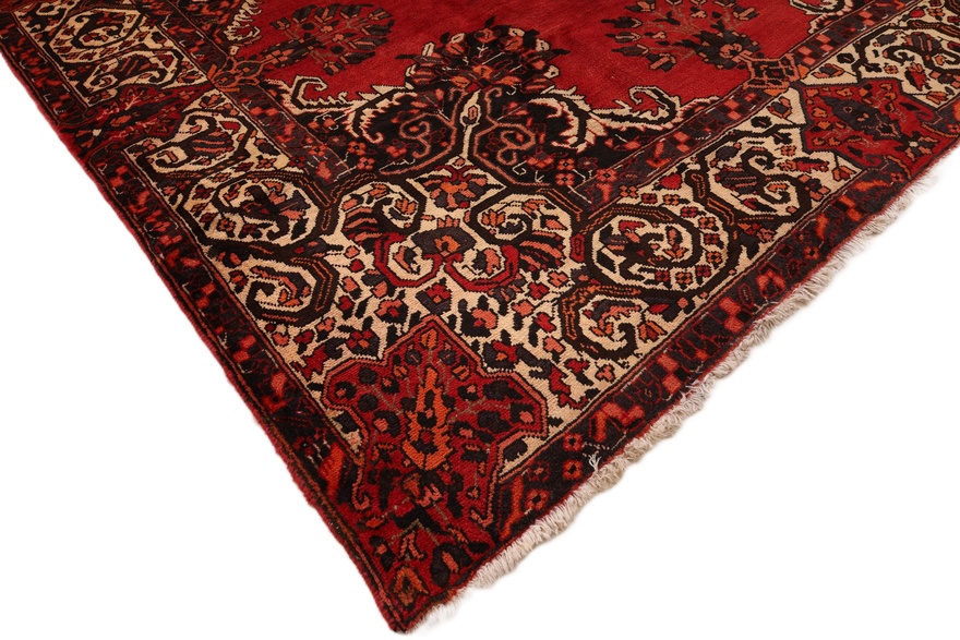 BAKHTIAR Carpet  299x210