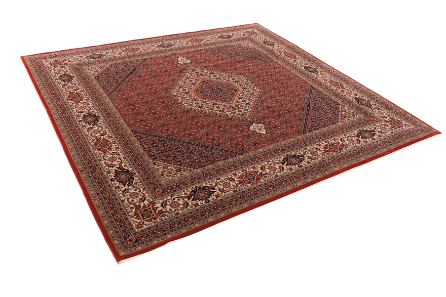 BIDJAR Carpet 248x250