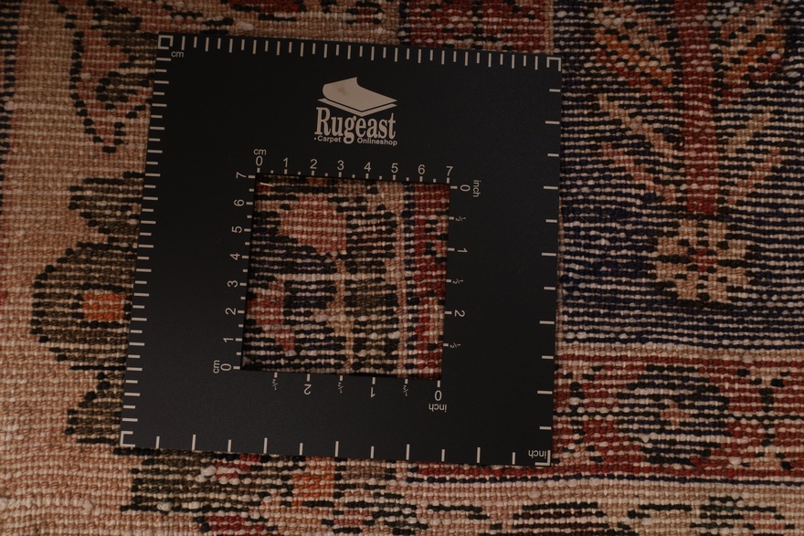 BAKHTIAR Carpet  218x145