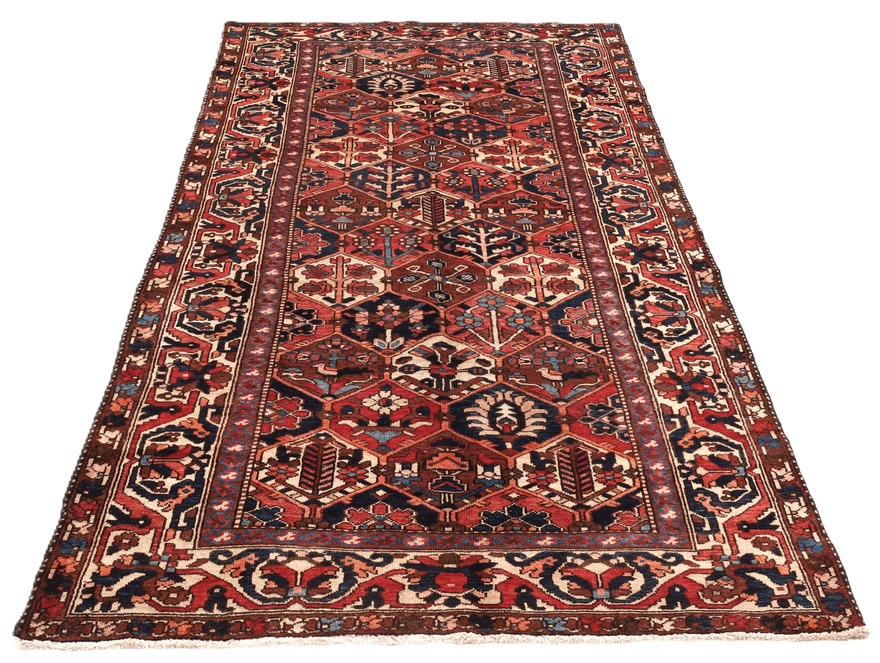 BAKHTIAR Carpet 306x154
