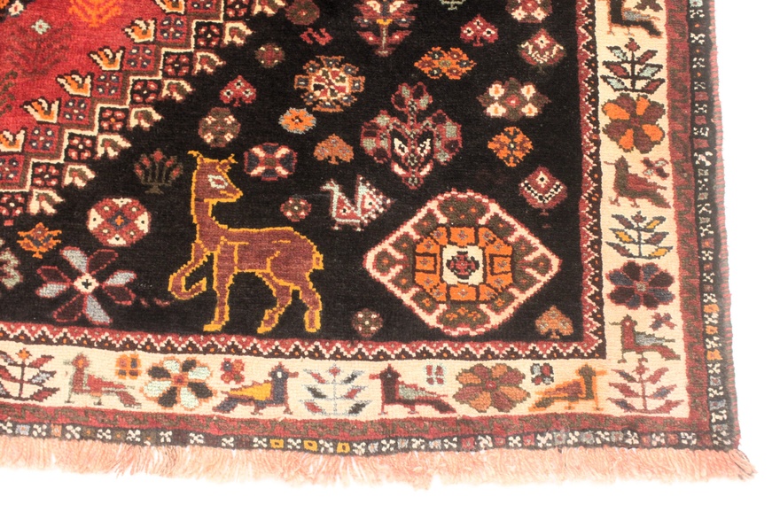Ghashaghi Carpet 261x173