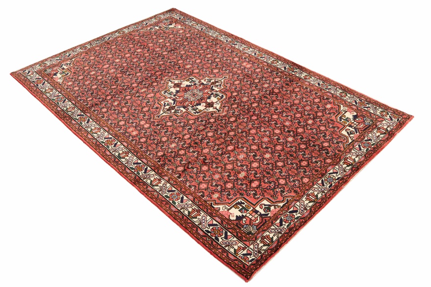 HOSENABAD Carpet 294x195