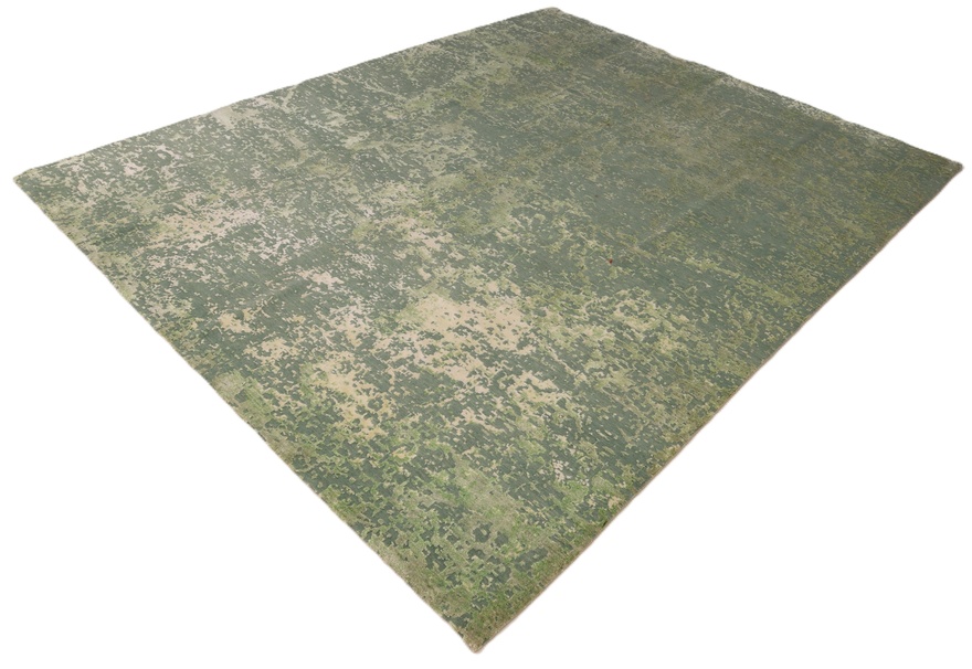 Modern Lotus Carpet  302x246