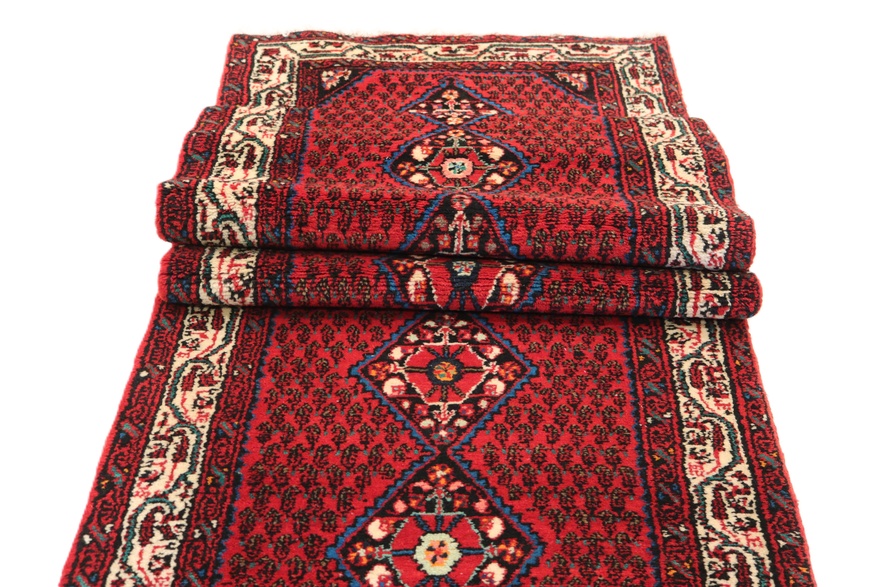 Hamadan Carpet  509x75